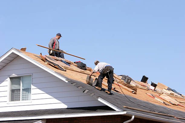 Best Roof Insulation Installation  in Lighthouse Point, FL